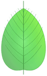 VareonApps